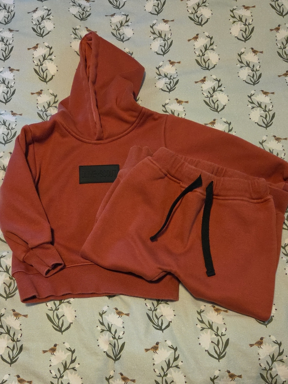 Olive + Scout Kids Rust Hoodie & Jogger Set